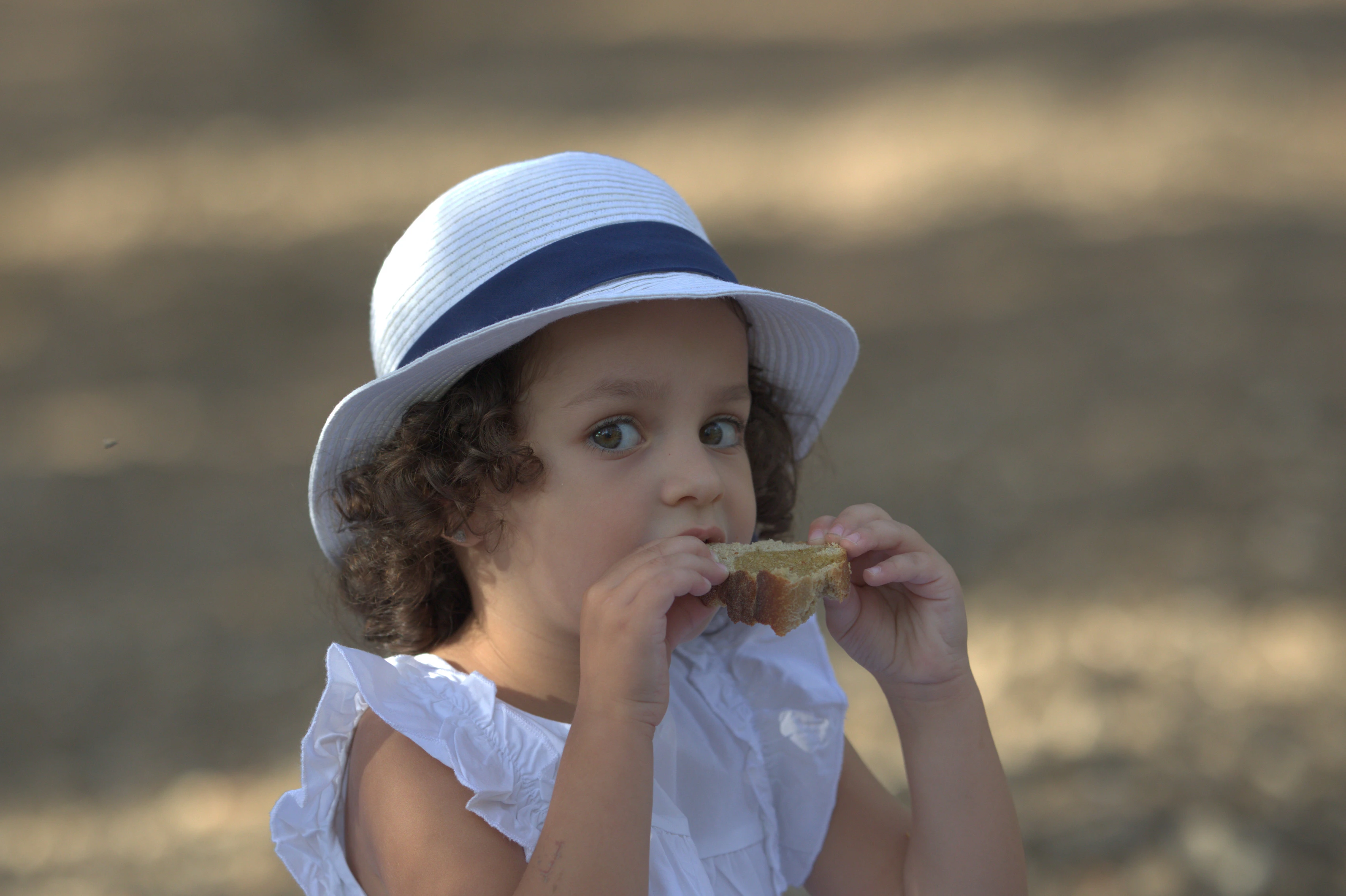 Uliveto nella campagna siciliana