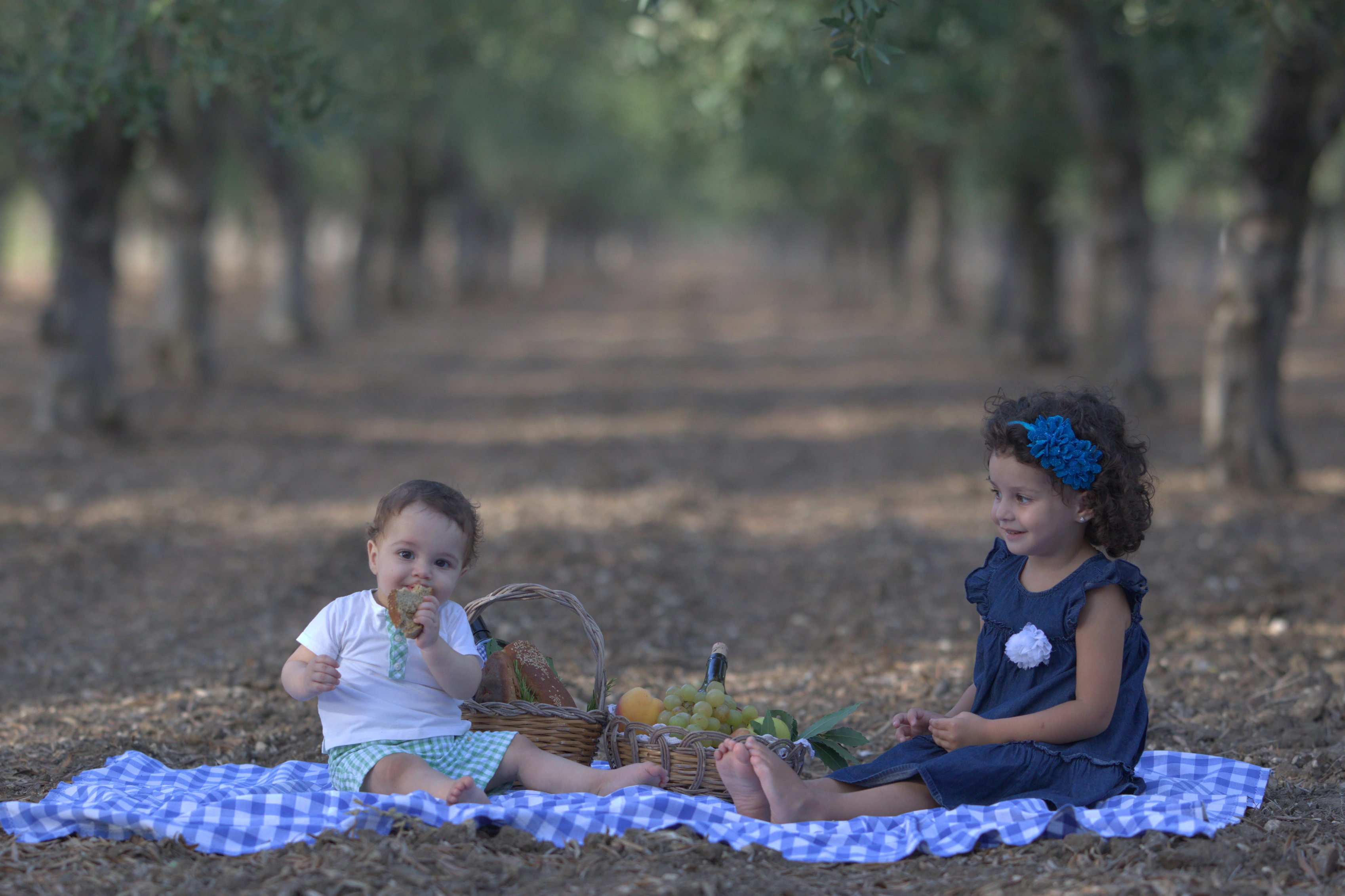 Uliveto Tenuta Ducale