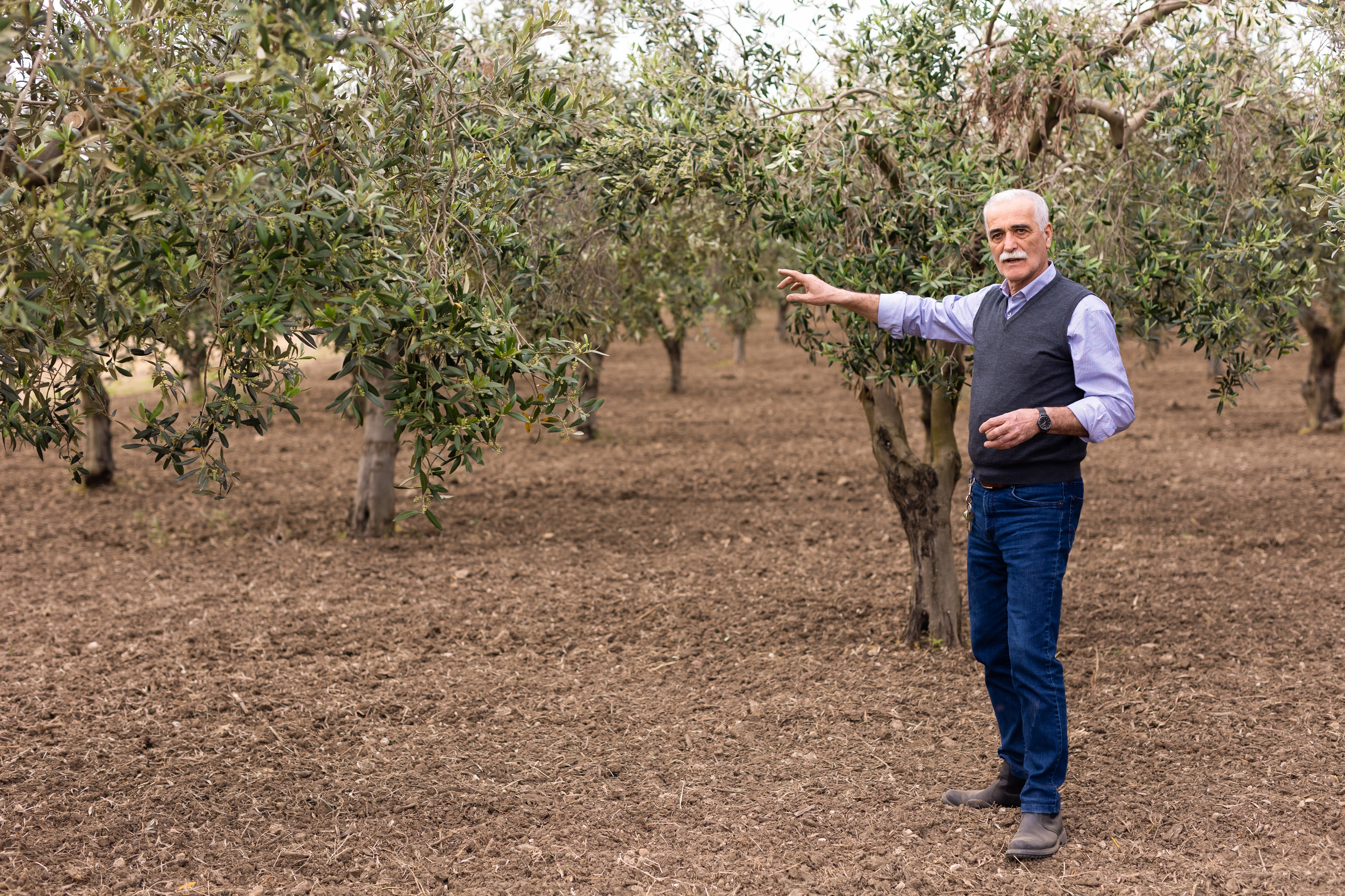 La terra rossiccia della Valle del Belice