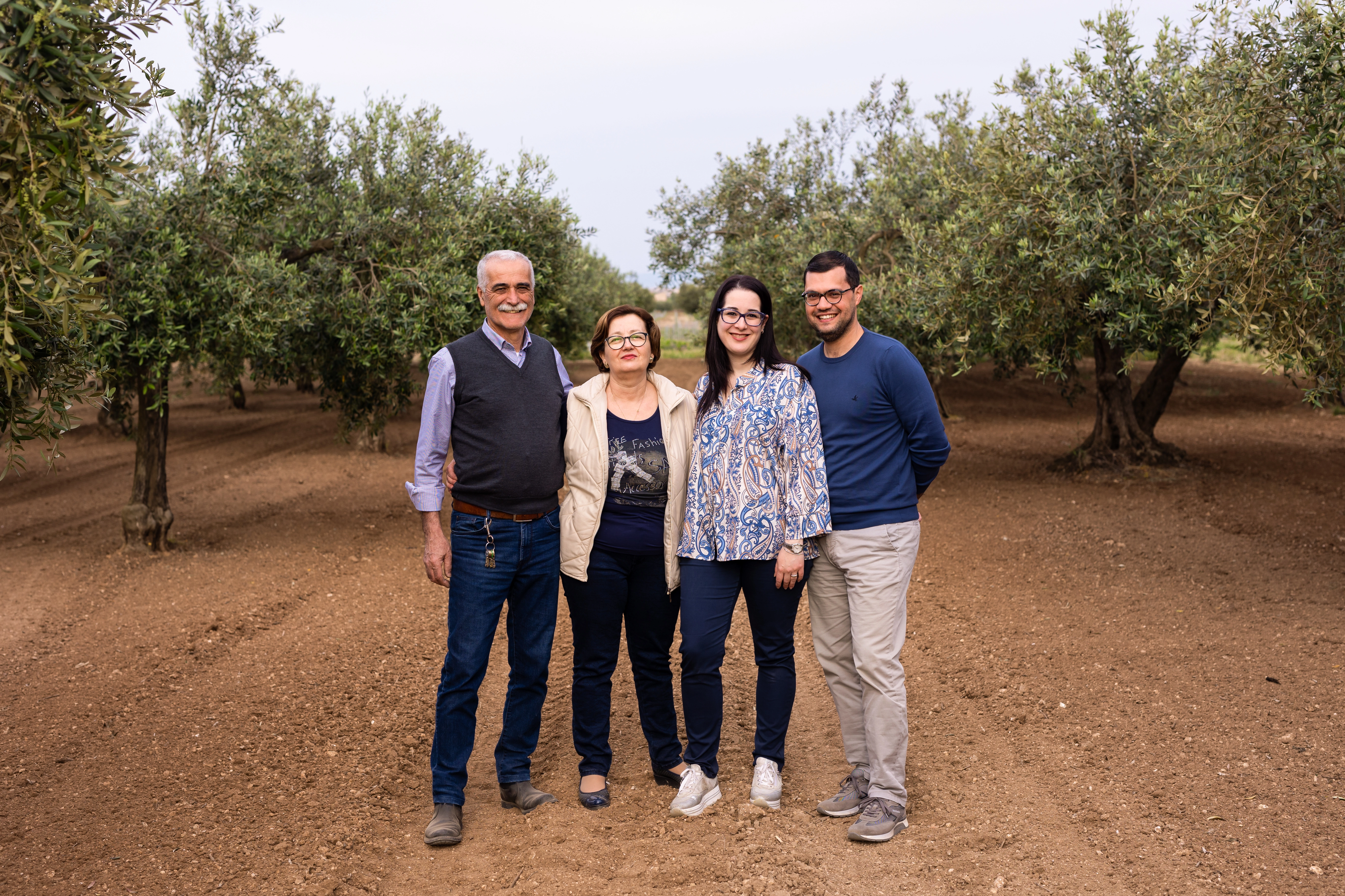 Uliveto storico di Nocellara del Belice